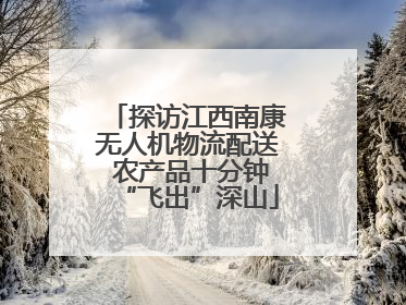 探访江西南康无人机物流配送 农产品十分钟“飞出”深山